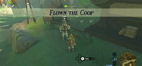 The Flown the Coop side quest cuccos locations.